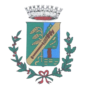 Sponsor-ComuneBareggio